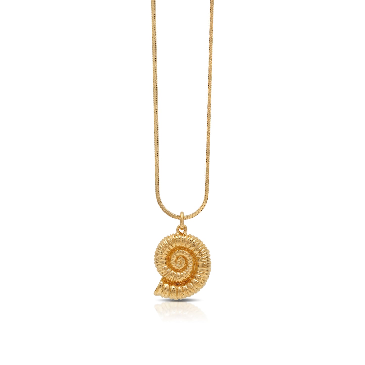 Spiral Shell Gold Chain Necklace