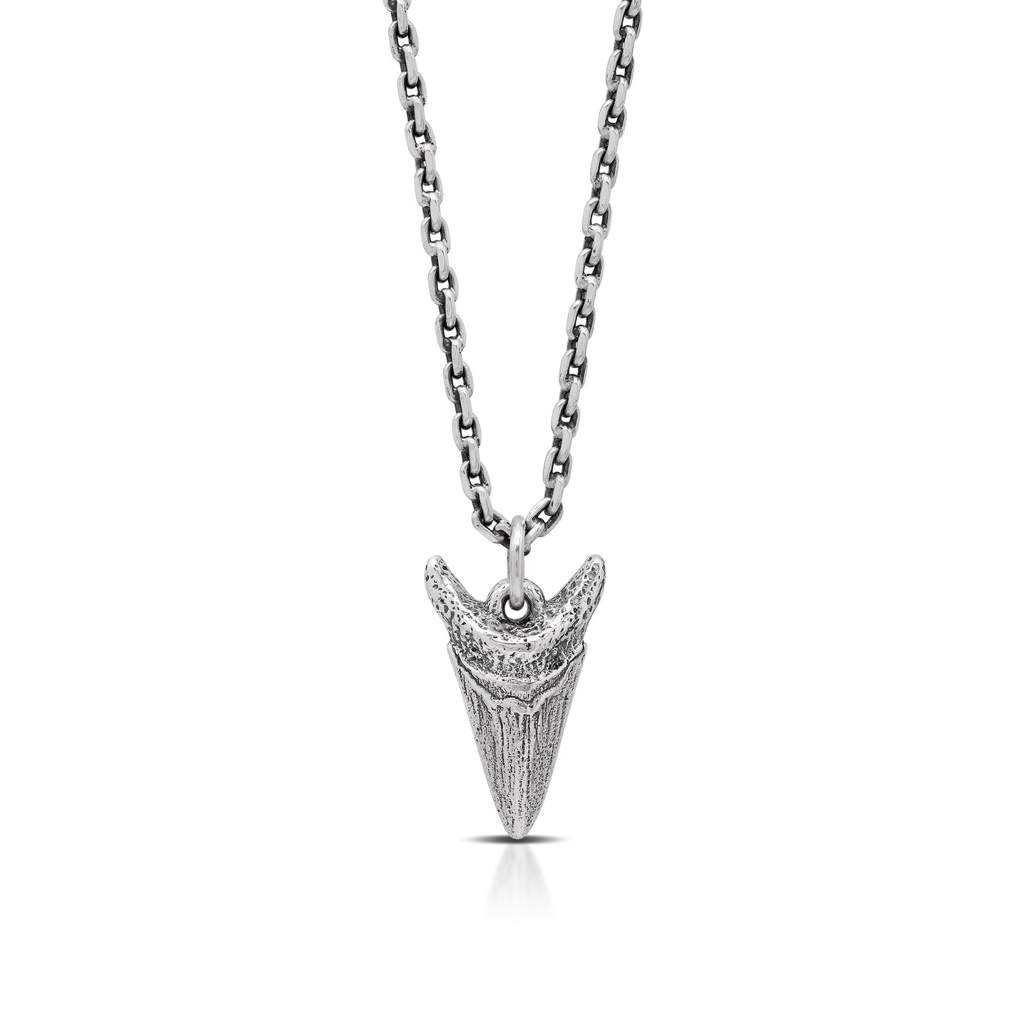 Shark Tooth Cable Chain Necklace